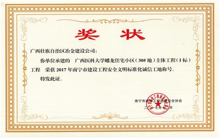 南寧分公司四個(gè)項(xiàng)目獲表彰！