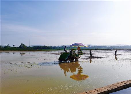 千畝“瘦地”變“肥田”丨石碑坪“旱改水”項(xiàng)目出成效，助力鄉(xiāng)村振興